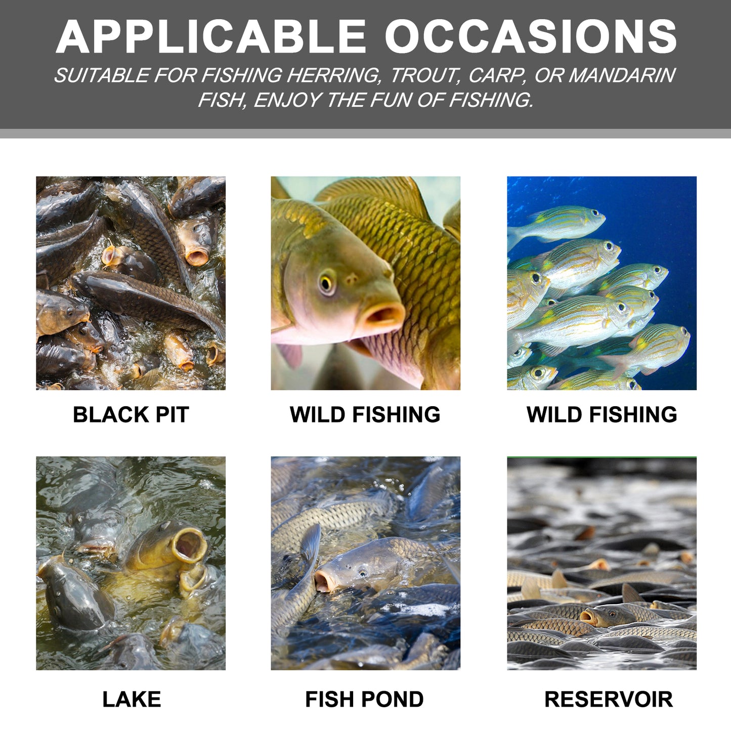 Corn-based fish bait, portable fishing attractant for reservoir fish