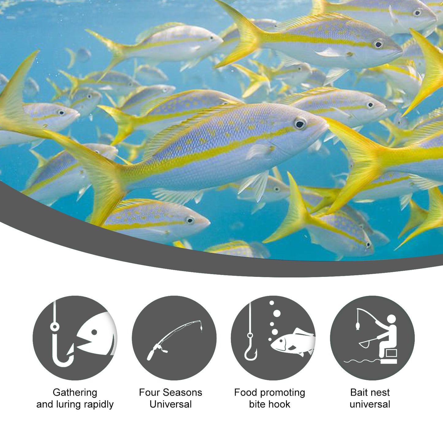 Corn-based fish bait, portable fishing attractant for reservoir fish