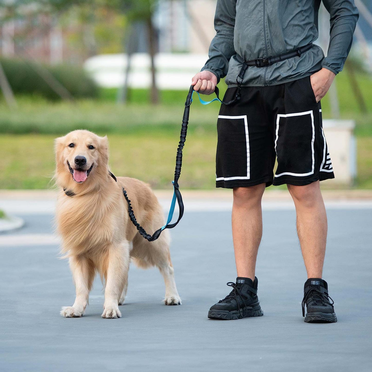 Hands Free Dog Leash with Zipper Pouch, Dual Padded Handles and Durable Bungee for Walking, Jogging and Running Your Dog (Large, 25-120 lbs)