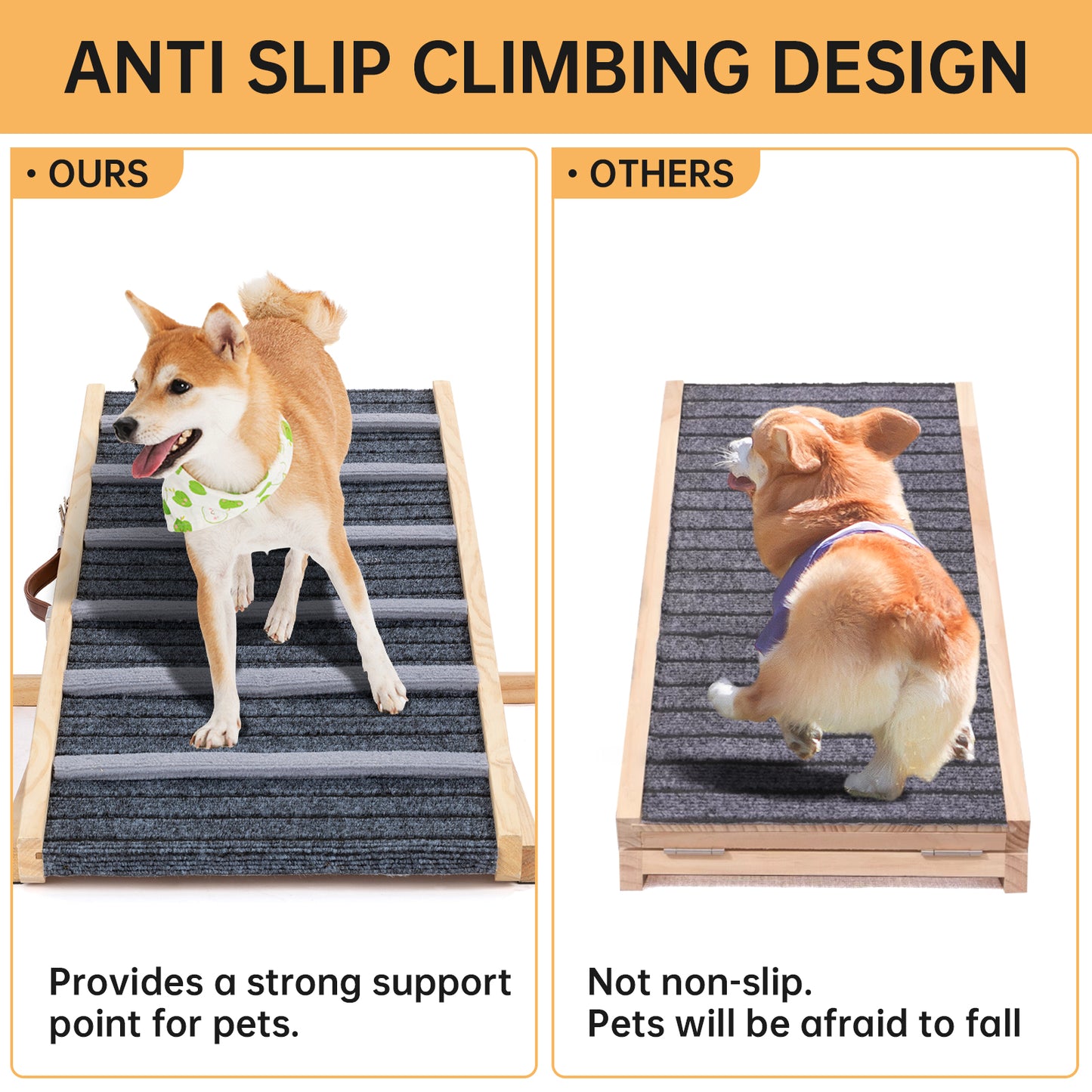 Dog climbing ladder